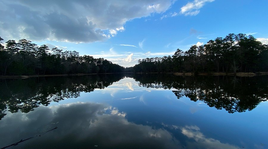 Best Spray Foam Insulation Contractor in Cottonwood County MN 14