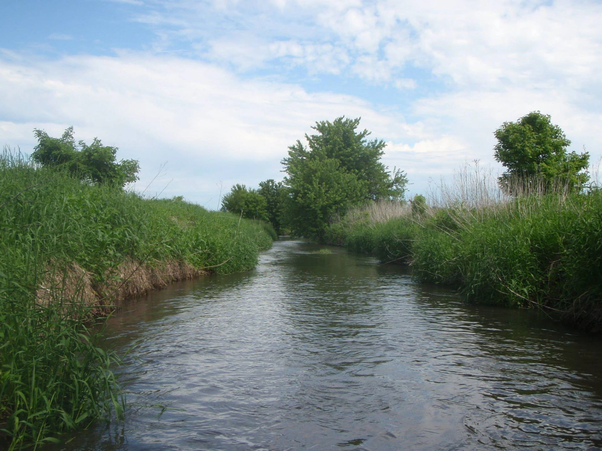 Watonwan River Trail